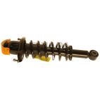 Suspension Strut Assembly
