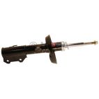 Suspension Strut
