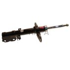 Suspension Strut
