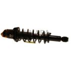 Suspension Strut Assembly