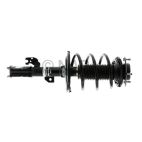 Suspension Strut Assembly