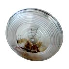 Lamps / Back Up NAPA Lighting (Truck Lite) Sealed
