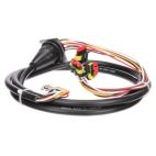 Lamp Wiring Harness 5