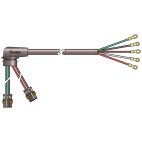 Lamp Wiring Harness