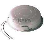 Dome Light