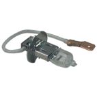 Fog Light Bulb