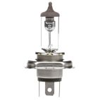 Bulb / Halogen Lamp