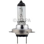 Headlight Bulb