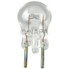 Clock Light Bulb