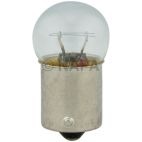 Courtesy Light Bulb