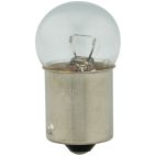 Courtesy Light Bulb