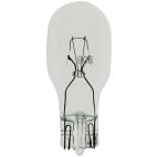 Map Light Bulb