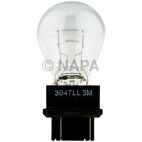 Back Up Light Bulb