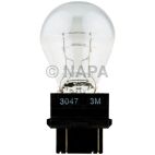 Back Up Light Bulb