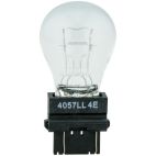 Back Up Light Bulb