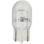 Back Up Light Bulb