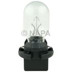 Map Light Bulb