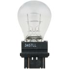Parking Light Bulb