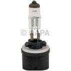 Fog Light Bulb