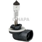 Fog Light Bulb