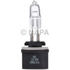 Fog Light Bulb