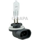 Fog Light Bulb