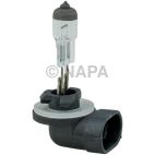 Fog Light Bulb