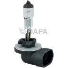 Fog Light Bulb