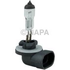 Fog Light Bulb