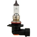 Fog Light Bulb