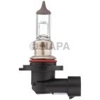 Fog Light Bulb