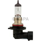 Fog Light Bulb