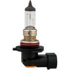 Fog Light Bulb
