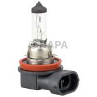 Fog Light Bulb