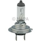 Headlight Bulb