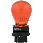 Parking Light Bulb