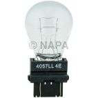 Back Up Light Bulb