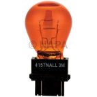 Parking Light Bulb