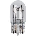 Brake Light Bulb