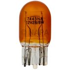 Parking Light Bulb