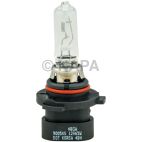 Headlight Bulb