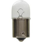 Tail Light Bulb