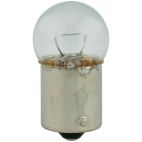 Courtesy Light Bulb