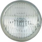 NAPA  4502 Sealed Beam (Pack of 1)