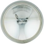 NAPA  4509 Sealed Beam (Pack of 1)