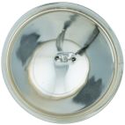 NAPA  4537 Sealed Beam (Pack of 1)