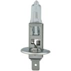 NAPA  H1-70W-24V High Watt Headlight Bulb (Pack of 1)