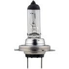 NAPA  H7-75W-24v High Volt / Watt Headlight Bulb (Pack of 1)