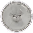 NAPA  H75501 Sealed Beam (Pack of 1)