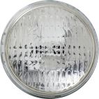 NAPA  76131 Sealed Beam (Pack of 1)